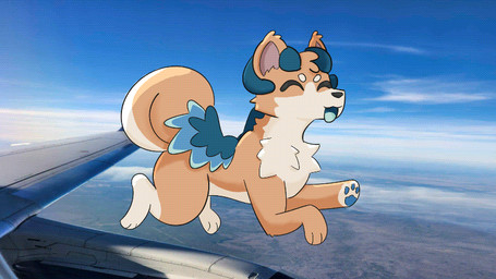 above_clouds aircraft airplane airplane_wings animated_gif cloud cloudy_sky flying furry_animation photo_background sky vehicle canid canine canis domestic_dog hainu mammal shiba_inu spitz 16:9 animated mixed_media photography_(artwork) short_playtime widescreen