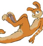 anthro balls barefoot butt chest_tuft claws feet foot_focus full_foot_pawpads fur genitals hair hindpaw implied_erection looking_at_viewer lying male nude on_back orange_body orange_fur pawpads paws presenting simple_background smile solo stripes tail toes tuft white_background mindkog jak_and_daxter naughty_dog sony_corporation sony_interactive_entertainment daxter hybrid mammal mustelid musteline otter ottsel true_musteline weasel digital_media_(artwork) hi_res