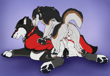 anal anal_knotting anal_penetration animal_genitalia animal_penis animal_vulva balls belly belly_inflation black_claws black_pawpads black_tail black_vulva blue_eyes bodily_fluids brown_markings brown_tail canine_genitalia canine_penis canine_vulva claws cum cum_from_vagina cum_in_ass cum_in_vagina cum_inflation cum_inside duo erection eyes_closed fangs female female_feral female_penetrated feral feral_on_feral feral_penetrated feral_penetrating feral_penetrating_feral from_behind_position fur genital_fluids genitals grey_body grey_fur inflation intraspecies knot knot_root knotted_penis knotting larger_female larger_feral larger_penetrated looking_back lying male male/female male_feral male_penetrating male_penetrating_female markings mouth_closed on_front pawpads penetration penile penile_penetration penis penis_in_ass sex sheath side_view size_difference smaller_feral smaller_male tail teeth vulva white_balls white_body white_fur white_sheath white_tail killthe_demon nava_(nava) yipsky canid canine mammal hi_res