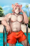 anthro breasts clothing fur hair looking_at_viewer male male/male nipples nude outside pool smile solo swimming_pool swimwear tail water szoch tem1tem_(character) mammal mouse murid murine rat rodent absurd_res hi_res