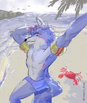 anthro armpit_hair beach blue_clothing blue_speedo blue_swimwear blue_underwear body_hair butt clothing eyewear eyewear_on_head floatie floaties glasses heart_glasses heart_symbol inflatable male markings red_markings sand sea smile smirk solo sparkles speedo sunglasses sunglasses_on_head swimming_trunks swimwear underwear water fredwork_draws arthropod canid canine canis crab crustacean decapod malacostracan mammal wolf digital_media_(artwork) hi_res pastel_theme