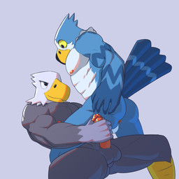 abs anthro anthro_on_anthro anthro_on_bottom anthro_on_top anus areola avian_legs balls beak black_beak black_eyes blue_body blue_feathers butt duo feathers genitals glans grey_background grey_body grey_feathers hand_on_butt hand_on_penis holding_penis humanoid_genitalia humanoid_penis imminent_anal looking_at_another looking_down looking_up lying male male/male male_on_bottom male_on_top masturbation muscular muscular_anthro muscular_arms muscular_male narrowed_eyes nipples non-mammal_balls non-mammal_nipples nude_anthro nude_male on_back on_bottom on_top penile penile_masturbation penis perineum shadow simple_background smile smirk spread_butt spread_legs spreading straddling tail tail_feathers white_body white_feathers wide_eyed yellow_beak yellow_sclera jrjresq animal_crossing nintendo apollo_(animal_crossing) pierce_(animal_crossing) accipitrid accipitriform avian bird eagle 1:1 colored hi_res shaded