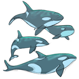 ambiguous_gender black_body black_fin black_tail blowhole dolphin_tail dorsal_fin feral fin group simple_background tail tired_eyes white_background bingybongo aquatic cetacean dolphin mammal oceanic_dolphin orca toothed_whale 1:1 2025 hi_res