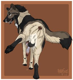 anatomically_correct anatomically_correct_genitalia anatomically_correct_penis animal_genitalia animal_penis anus balls bodily_fluids border butt canine_genitalia canine_penis digitigrade dripping erection feral genital_fluids genitals knot knotted_penis male penis precum precum_drip presenting presenting_anus presenting_balls presenting_hindquarters presenting_penis quadruped raised_leg solo tail vein veiny_penis white_border hateeven spudz canid canine canis domestic_dog german_shepherd herding_dog mammal pastoral_dog 2026 hi_res