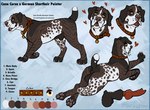 absurd_res animal_genitalia animal_penis briarlupine brown_body brown_fur cane_corso canid canine canine_genitalia canine_penis canis domestic_dog english_text feral fur genitals german_shorthaired_pointer hi_res male mammal mastiff model_sheet molosser penis solo text