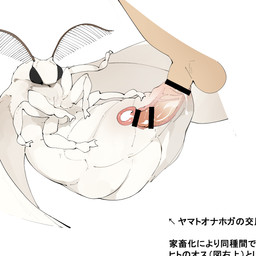 antennae_(anatomy) arthropod_abdomen arthropod_abdomen_genitalia arthropod_abdomen_penetration arthropod_abdomen_vulva balls bestiality bodily_fluids censor_bar claws compound_eyes cum cum_drip cum_in_uterus cum_in_vagina cum_inside disembodied_penis dripping duo female feral feral_penetrated genital_fluids genitals human_on_feral human_penetrating human_penetrating_feral ineffective_censorship insectophilia internal interspecies leaking_cum lying male male/female male_on_feral multi_leg multi_limb on_back penetration penis realistic_feral sex simple_background solo_focus text uterus vulva white_background wings youjomodoki arthropod domestic_silk_moth human insect lepidopteran mammal moth 1:1 censored hi_res japanese_text translation_request