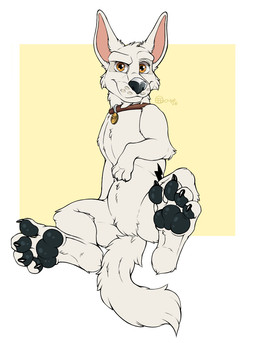black_claws black_nose black_pawpads claws collar collar_only collar_tag feet feral foot_focus fur looking_at_viewer male monotone_body monotone_fur mostly_nude mouth_closed nude orange_eyes pawpads paws sitting smile smiling_at_viewer snout solo spread_legs spreading tail tuft white_body white_fur wide_eyed jimfoxx bolt_(film) disney bolt_(bolt) canid canine canis domestic_dog mammal 2026 digital_drawing_(artwork) digital_media_(artwork) flat_colors signature