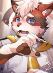 anthro blue_eyes blush chef chef_uniform embarrassed kemono male shy solo ponzu_tas crave_saga mageiro_(crave_saga) calico_cat domestic_cat felid feline felis mammal hi_res