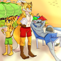 anthro beach clothed clothing dipstick_tail gloves_(marking) group leg_markings male markings seaside sleeping socks_(marking) sunset tail tail_markings topless damian5320 ratchet_and_clank sly_cooper_(series) sony_corporation sony_interactive_entertainment sucker_punch_productions jcfox ratchet_(ratchet_and_clank) sly_cooper canid canine fox lombax mammal procyonid raccoon 1:1 absurd_res hi_res