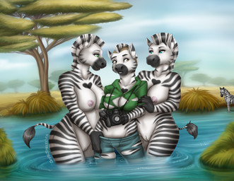 ambiguous_gender anthro assimilation being_watched big_breasts breast_growth breasts camera clothed clothing duo female female/female feral fur fur_growth gender_transformation genitals growth hand_in_pants heart_(marking) looking_at_another markings mid_transformation mtf_transformation nude outside partially_submerged plant savanna striped_markings stripes torn_clothing transformation translucent tree twinning vulva water deathjingle equid equine mammal zebra absurd_res hi_res