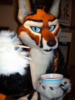 anthro asian_clothing biped clothing costume east_asian_clothing fursuit japanese_clothing kimono male real solo scribblefox canid canine fox mammal 3:4 grandfathered_content source_request