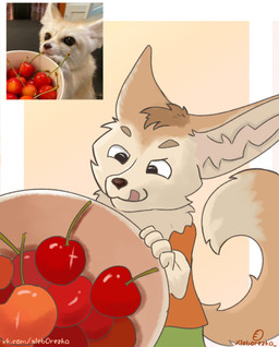 anthro big_ears cherry comparison food fruit fur light_body light_fur looking_at_food looking_at_object male photo_reference plant playful solo xleb0rezka canid canine fennec_fox fox mammal true_fox digital_media_(artwork) hi_res reference_image