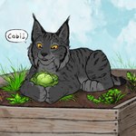 ambiguous_gender black_nose cabbage dialogue feral food fur garden grey_body grey_fur outside paws plant smile solo speech_bubble vegetable whiskers rogueliger felid feline lynx mammal 1:1 2022 digital_media_(artwork)