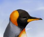 ambiguous_gender beak feral side_view solo panzery25 avian bird king_penguin penguin 2017 bust_portrait hi_res portrait signature