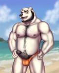 absurd_res beach bear beard erection facial_hair hi_res hiro_(disambiguation) humanoid male male/male mammal polar_bear pubes ryoryoryo_20 solo ursine