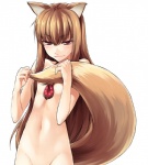 breasts brown_hair covering covering_self female grin hair jewelry long_hair looking_at_viewer necklace nude red_eyes smile solo standing tail puyo_(artist) spice_and_wolf holo_(spice_and_wolf) animal_humanoid canid canid_humanoid canine canine_humanoid canis humanoid hybrid mammal mammal_humanoid puyo wolf wolf_humanoid