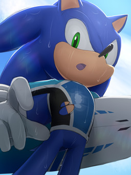 ambiguous_gender anthro black_nose blue_body blue_fur clothing fingers fur gloves green_eyes handwear looking_at_viewer open_mouth quills_(anatomy) simple_background sky_background solo surfboard tail tan_muzzle tongue topwear torn_clothing torn_topwear wet white_clothing white_gloves white_handwear kalk427 sega sonic_the_hedgehog_(series) sonic_the_hedgehog eulipotyphlan hedgehog mammal 3:4 hi_res shaded male_(lore)