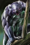 abs anthro athletic biceps black_nose blue_body blue_fur brown_eyes chest_tuft claws crouching fur grey_body grey_fur male muscular muscular_anthro nude open_mouth pecs pose solo teeth tongue tuft vein gweek koala mammal marsupial vombatiform