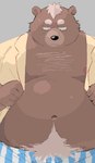 anthro belly big_belly black_nose brown_body clothing kemono male moobs navel nipples overweight overweight_male simple_background solo underwear sessa bear mammal 2024