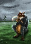 anthro cloud field grass male plant sad tail tail_grab catzakir clouded canid canine fox mammal hi_res