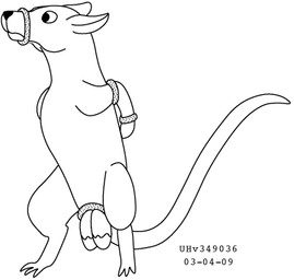 arms_bound_behind_back arms_tied balls bound bound_muzzle feral frown fur genitals male simple_background solo standing tail urbanhermit mammal murid murine rat rodent 2003 black_and_white dated low_res monochrome