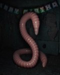 birthday celebration damaged_wall darkness dilapidated_apartment feral glistening glistening_body happy_birthday inside male phone_flash pink_body pink_skin solo streamers text crabcreatures wilmer_(crabcreatures) worm 4:5 english_text hi_res signature