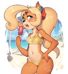 anthro beach bikini blonde_hair camel_toe clothing ear_piercing female food fur gold_bikini gold_clothing gold_swimwear green_eyes hair hand_on_hip midriff navel orange_body orange_fur outside piercing popsicle seaside solo swimwear two-piece_swimsuit water wet luichemax activision crash_bandicoot_(series) golden_week coco_bandicoot bandicoot mammal marsupial hi_res