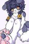 4_toes accessory ahoge anthro black_hair braided_hair braided_pigtails breasts claws convenient_censorship feet female female_anthro floppy_ears flower flower_in_hair fur grey_body grey_fur hair hair_accessory kemono looking_at_viewer nude pawpads paws pigtails plant solo tail toe_claws toes white_body white_fur yellow_eyes koto0v0haru cotorita border_collie canid canine canis collie domestic_dog herding_dog mammal pastoral_dog sheepdog 2024 digital_media_(artwork) hi_res