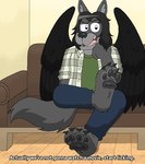 anthro black_hair black_pawpads black_wings blue_eyes bottomwear claws clothing denim denim_bottomwear denim_clothing feet flannel_shirt floor foot_fetish foot_focus fur furniture grey_body grey_fur hair hand_on_chin jeans looking_at_viewer male medium_hair pants pawpads simple_background smug smug_expression sofa solo talking_to_viewer text wings wood wood_floor lillyluvmonster ash_clinker canid canine canis mammal wolf