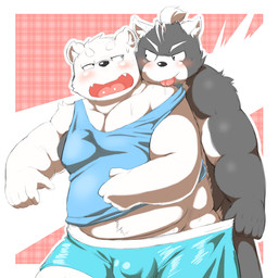 anthro assisted_exposure belly blush bodily_fluids bulge clothing drooling duo fur humanoid_hands male male/male overweight overweight_male saliva shirt tongue tongue_out topwear underwear undressing undressing_another undressing_partner white_body white_fur mitei mti777 bear canid canine mammal polar_bear ursine 1:1 2015
