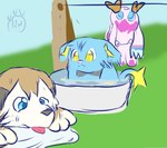 bath blue_body blue_eyes blue_fur feral fur tongue tongue_out water wet wet_body wet_fur yellow_eyes young hangyakuneko nintendo pokemon generation_4_pokemon generation_7_pokemon lycanroc midday_lycanroc pokemon_(species) shinx hi_res