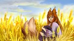 bone female field fluffy fluffy_tail fur hair long_hair shy sitting skeleton solo tail fennefox spice_and_wolf holo_(spice_and_wolf) animal_humanoid canid canid_humanoid canine canine_humanoid canis human humanoid mammal mammal_humanoid wolf_humanoid cloudy_(disambiguation) 16:9 hi_res portrait wallpaper widescreen