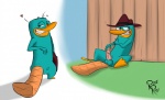 anthro balls clothing disney erection genitals gruine hat headgear headwear heart_symbol hi_res holding_clothing holding_hat holding_headgear holding_headwear holding_object humanoid_genitalia humanoid_penis male mammal monotreme penis perry_the_platypus phineas_and_ferb platypus rotten_robbie signature solo tattoo