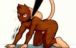 anthro brown_body brown_fur collar embarrassed foreskin fur genitals leash leash_pull looking_at_viewer male penis red_eyes simple_background solo white_background rotten_owl aalst_(rotten_owl) mammal mouse murid murine rodent hi_res traditional_media_(artwork)