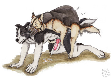 all_fours anal anal_orgasm anal_penetration anatomically_correct anatomically_correct_genitalia anatomically_correct_penis animal_genitalia animal_penis anthro anthro_on_bottom anthro_on_feral anthro_penetrated bestiality bodily_fluids butt canine_genitalia canine_penis claws cum cum_in_ass cum_inside cum_on_butt cum_on_ground cum_on_own_penis cum_on_penis cum_on_self cum_splatter cum_while_penetrated cumshot doggystyle duo ejaculation erection feral feral_on_top feral_penetrating feral_penetrating_anthro from_behind_position genital_fluids genitals hands-free intraspecies intraspecies_bestiality kneeling knot knotted_penis male male/male male_on_bottom male_on_top male_penetrated male_penetrating male_penetrating_male muzzle_(object) muzzled on_bottom on_top orgasm penetration penile penile_penetration penis penis_in_ass red_penis sex sheath simple_background tail white_sheath wire_basket_muzzle kola_(artist) canid canine canis collie domestic_dog german_shepherd herding_dog mammal pastoral_dog sheepdog traditional_media_(artwork)