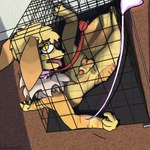 abuse after_rape after_sex animal_genitalia anthro balls bars bell bound cage collar confined drugged drugs flaccid forced genitals harm kennel kidnapping leash male misery nude penis restrained sad saline scar sheath slumped substance_intoxication torture trapped work wounded poofythedragon nintendo pokemon eevee generation_1_pokemon pokemon_(species) 1:1 absurd_res hi_res
