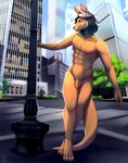 abs anthro black_claws city city_background claws day detailed_background feet fingers flaccid foreskin fur genitals hair highlights_(coloring) humanoid_genitalia humanoid_penis male nipples nude nude_anthro outside penis pose public public_nudity solo tail tan_body tan_fur toes bambudess renkai_akura kangaroo macropod mammal marsupial absurd_res digital_media_(artwork) hi_res