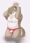 anthro areola asian_clothing biped bulge chest_scar chest_tuft clothed clothing east_asian_clothing facial_scar fundoshi fur grey_body grey_fur hair japanese_clothing looking_back male moobs nipples overweight overweight_anthro overweight_male pink_sclera ponytail red_clothing red_fundoshi red_underwear scar solo topless tuft tying_hair underwear buruukoori lifewonders tokyo_afterschool_summoners shino_(tas) canid canine canis domestic_dog mammal digital_media_(artwork) hi_res shaded