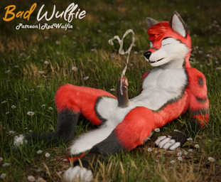 5_fingers anthro biped black_nose bodily_fluids claws cum cumshot digitigrade ejaculation fingers fluffy fur genital_fluids genitals gloves_(marking) grass grass_field hair humanoid_genitalia humanoid_penis male male_anthro markings pawpads paws penis plant realistic red_body red_fur short size_difference smaller_male whiskers white_body white_fur white_whiskers red_wulfie red_(red_wulfie) canid canine canis mammal wolf 3d_(artwork) absurd_res blender_(artwork) blender_cycles_(artwork) digital_media_(artwork) hi_res watermark