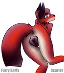 animal_genitalia animal_pussy anthro anus butt canine_genitalia canine_pussy female genitals nude pussy simple_background solo tail zoophobia scarlet_(zoophobia) canid canine fox mammal 2024 absurd_res digital_drawing_(artwork) digital_media_(artwork) hi_res