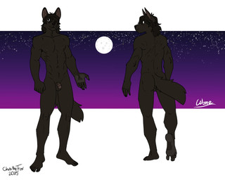 anthro balls barefoot black_hair brown_body brown_fur butt circumcised ears_up feet full_moon fur genitals hair humanoid_feet looking_at_viewer looking_back looking_back_at_viewer male moon muscular muscular_anthro muscular_male navel night nipples nude nude_anthro nude_male penis plantigrade sky skyscape solo star bartek22 mythology canid canine mammal mythological_canine mythological_creature werecanid werecanine werecreature werewolf hi_res