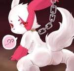 anthro chain collar female fur genitals looking_at_viewer markings pussy red_markings solo tail white_body white_fur young young_anthro young_female ino nintendo pokemon generation_3_pokemon pokemon_(species) zangoose hi_res