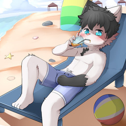 4_toes anthro ball beach beach_ball blue_eyes blush bulge clothed clothing container cup drinking_glass drinking_straw drinking_straw_in_mouth feet glass glass_container glass_cup inflatable lying male male_anthro rock seashell shell shota solo toes topless young young_anthro young_male choki ambient_sealife ambient_starfish domestic_cat felid feline felis mammal 1:1 2021 absurd_res hi_res