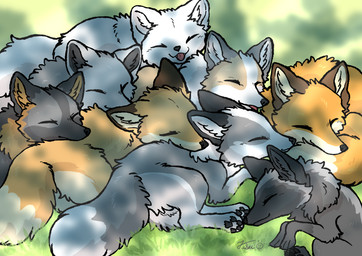 4_toes ambiguous_gender black_body black_fur black_nose black_pawpads brown_body brown_fur countershading day eyes_closed feet feral fluffy fluffy_tail fur grass grey_body grey_fur group inner_ear_fluff lying markings multicolored_body multicolored_fur multicolored_tail on_front open_mouth open_smile orange_body orange_fur outside pawpads paws plant sleeping smile tail tail_markings toes tongue tongue_out tuft white_body white_fur white_tail fusau arctic_fox canid canine cross_fox fox mammal platinum_fox red_fox silver_fox true_fox 2025 absurd_res digital_media_(artwork) hi_res