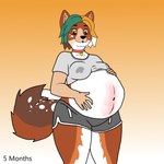 anthro athletic_wear bodily_fluids breasts female fluffy fluffy_tail lactating pregnant pregnant_female solo tail thick_thighs zoey_the_shiba canid canine canis domestic_dog mammal shiba_inu spitz 1:1 absurd_res hi_res