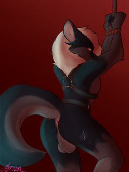 anus backsack balls bdsm bite_mark body_writing bondage bound butt genitals harness looking_back male raised_tail restraints rope rope_bondage solo tail tally_marks anentheotter canid canine canis mammal wolf 3:4 absurd_res hi_res signature