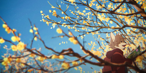 anthro backpack book clothing coat flower holding_book holding_object kemono looking_aside male open_mouth plant plum_blossom prunus_(flower) red_backpack solo topwear tree young young_anthro young_male nishiko24 ookami_(nishiko24) canid canine canis mammal wolf 2022 hi_res japanese_description