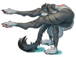 4_toes anthro backbend contortionism feet female flexible floppy_ears fur green_eyes grey_body grey_ears grey_fur grey_tail long_ears long_tail nude plantigrade solo tail toes gyy canid mammal 4:3
