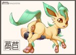 2021 absurd_res ambiguous_gender animal_genitalia animal_pussy anus border canine_genitalia canine_pussy chinese_text disembodied_hand duo eeveelution feet female feral generation_4_pokemon genitals hi_res holding_another human leafeon loimu mammal multi_nipple nintendo nipples orange_border pawpads paws pokemon pokemon_(species) pussy soles solo_focus text translated