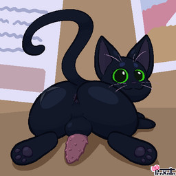 animal_genitalia animal_penis anus balls black_body black_fur butt ears_up feet feline_genitalia feline_penis feral fur genitals green_eyes green_sclera looking_at_viewer looking_back lying male nude pawpads paws penis pink_penis raised_tail scar solo spiked_penis spikes spikes_(anatomy) tail whiskers pankatares little_kitty_big_city little_kitty_(lkbc) domestic_cat felid feline felis mammal 1:1 digital_media_(artwork) low_res pixel_(artwork) signature